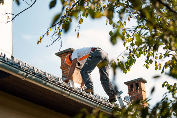 Best Flat Roof Repair Services  in Orofino, ID